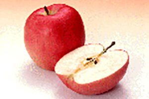 denture_img003