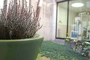 view_img008