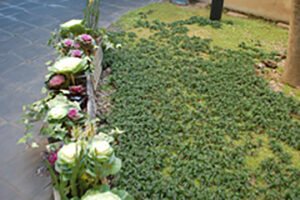 view_img009